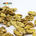 White and abmber walnut kernel from premium walnut